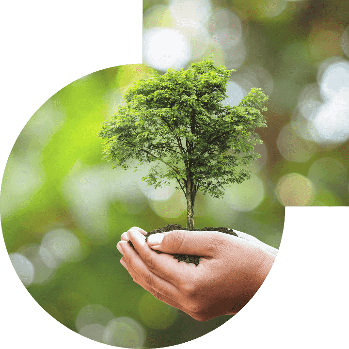 关怀人类、、、、文化、、、环境与社会