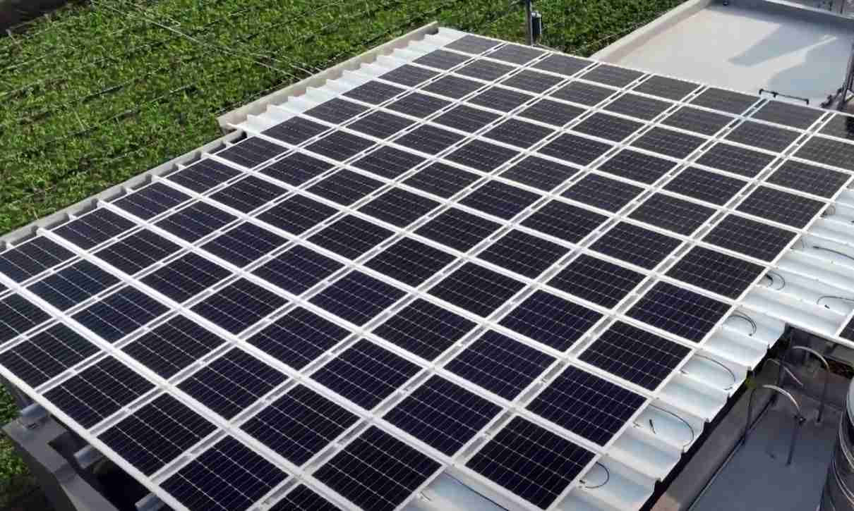 william威廉中文官网SunSteel光电浪板升级双玻结构，，，，以提升机械负载强度及气候耐候度，，可广泛运用于多元场域