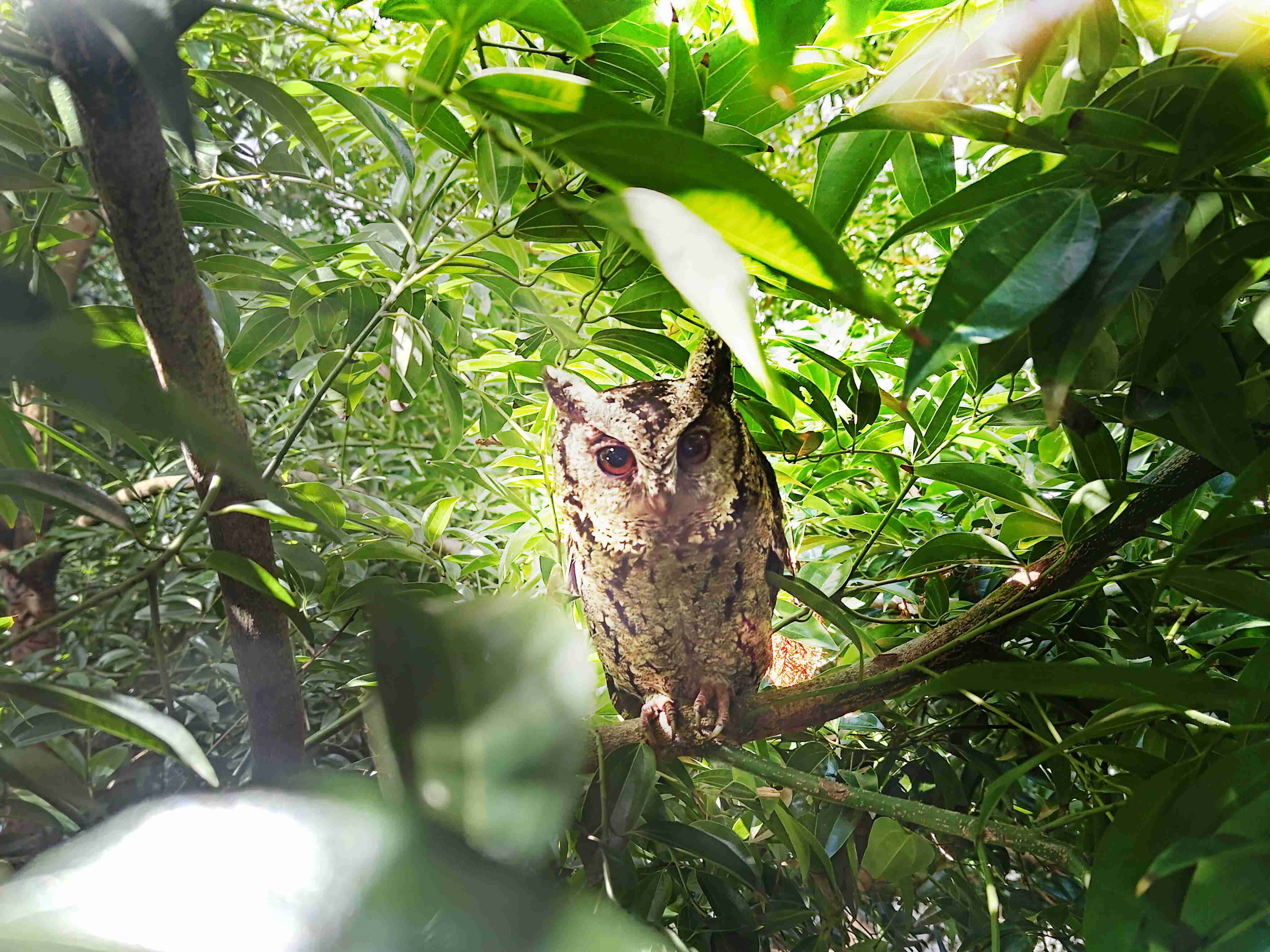 william威廉中文官网致力提倡净零绿生活，，16年以来在全球各厂区植树逾百万棵，，造就各厂区树木蔚然成林，，，，犹如森林工厂，，，，成为许多生物的栖息地